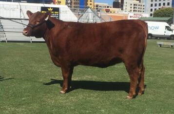Picture